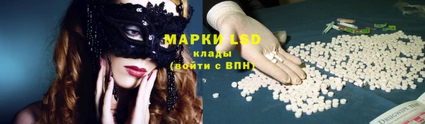 спиды Магас