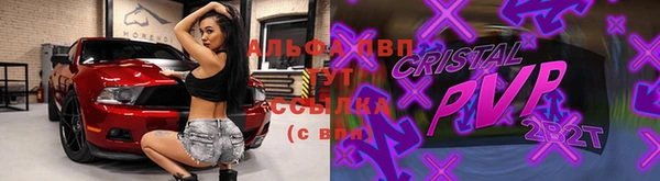 прущие грибы Медногорск