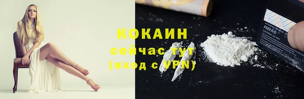 прущие грибы Медногорск