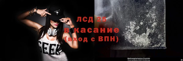 прущие грибы Медногорск
