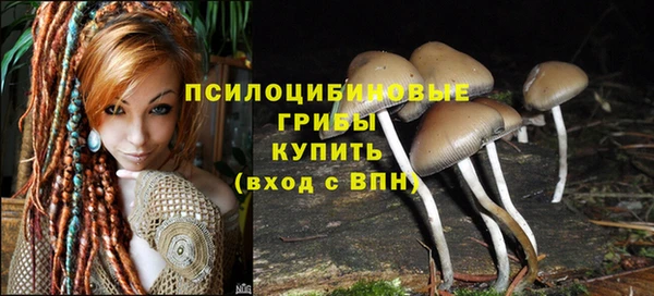 соль ск Медвежьегорск