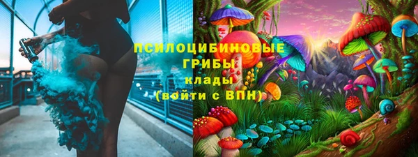 спиды Магас