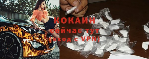 прущие грибы Медногорск