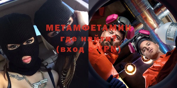 прущие грибы Медногорск