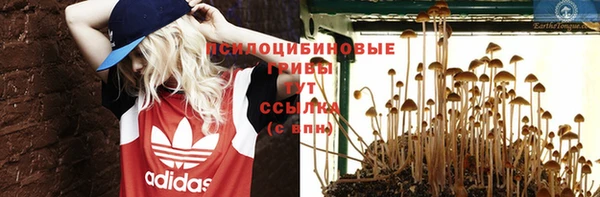 соль ск Медвежьегорск