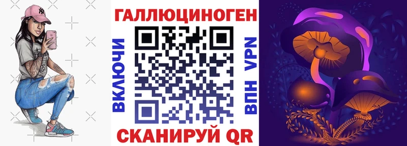 Псилоцибиновые грибы Psilocybe Менделеевск