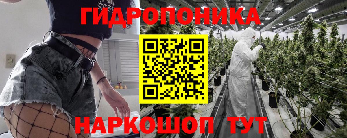 Канабис сатива Менделеевск